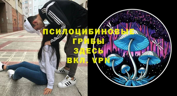 ешки Белоозёрский
