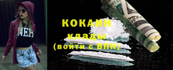 гашик Осинники