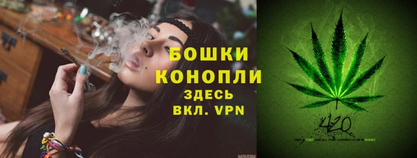 стафф Беломорск